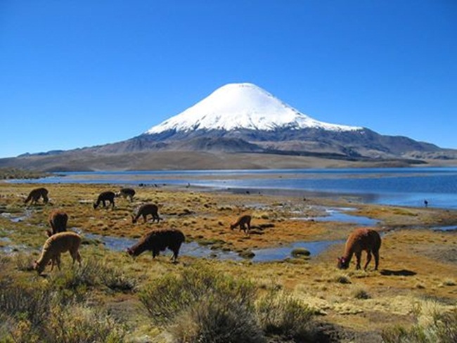 volcan-parinacotacerc-a-a-arica
