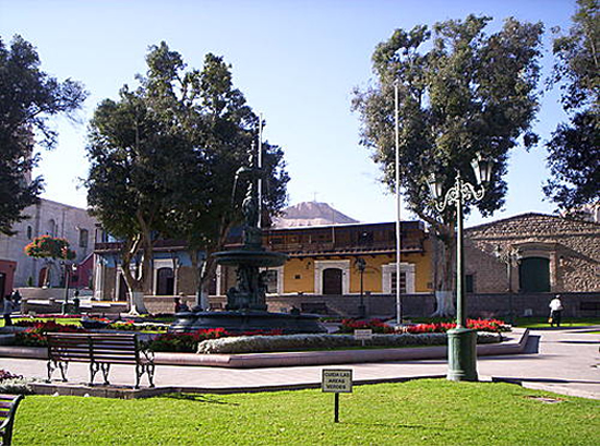 chilo-7