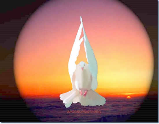 peje-4