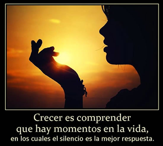 chachi-9